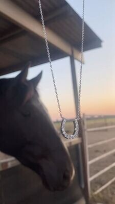 9ct White Gold Diamond Set Horse Shoe Necklace