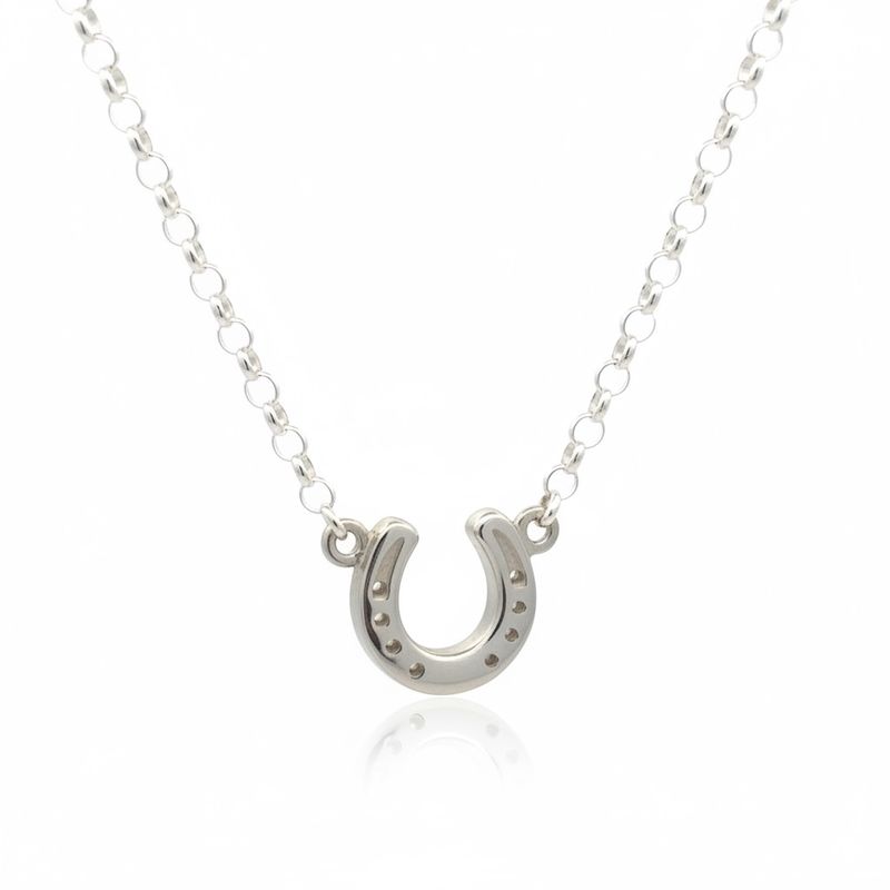 Sterling Silver Horseshoe necklace, 45cm