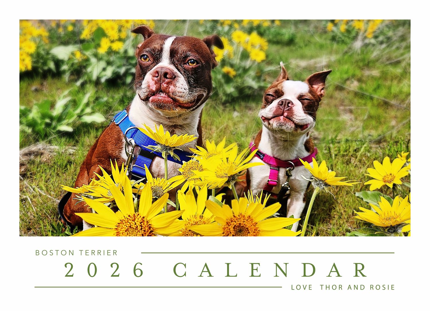 2026  Calendar