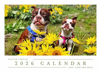 2026  Calendar