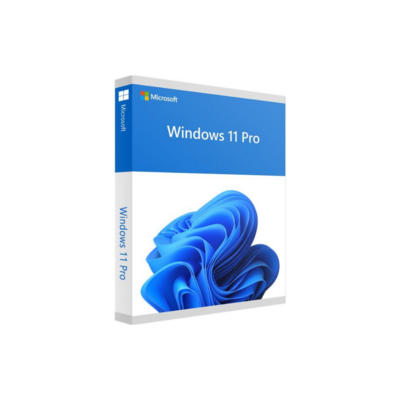 Windows 11 Pro