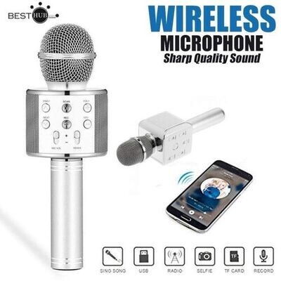 Microphone - WS-858 - Silver Microphone - WS-858 - Silver