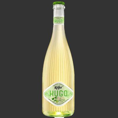 Käfer Hugo