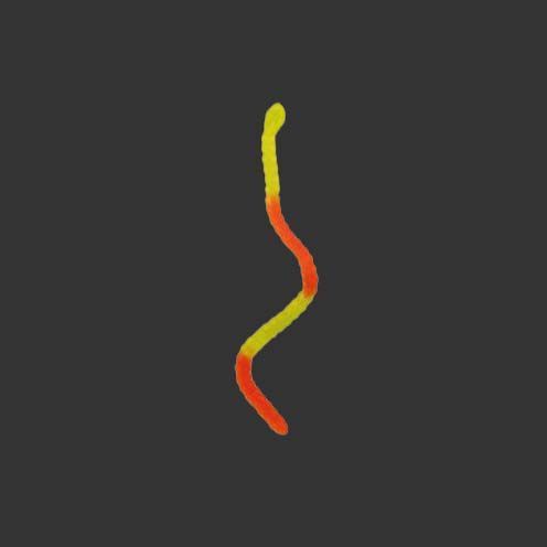 Haribo Anaconda Riesenschlange 1x