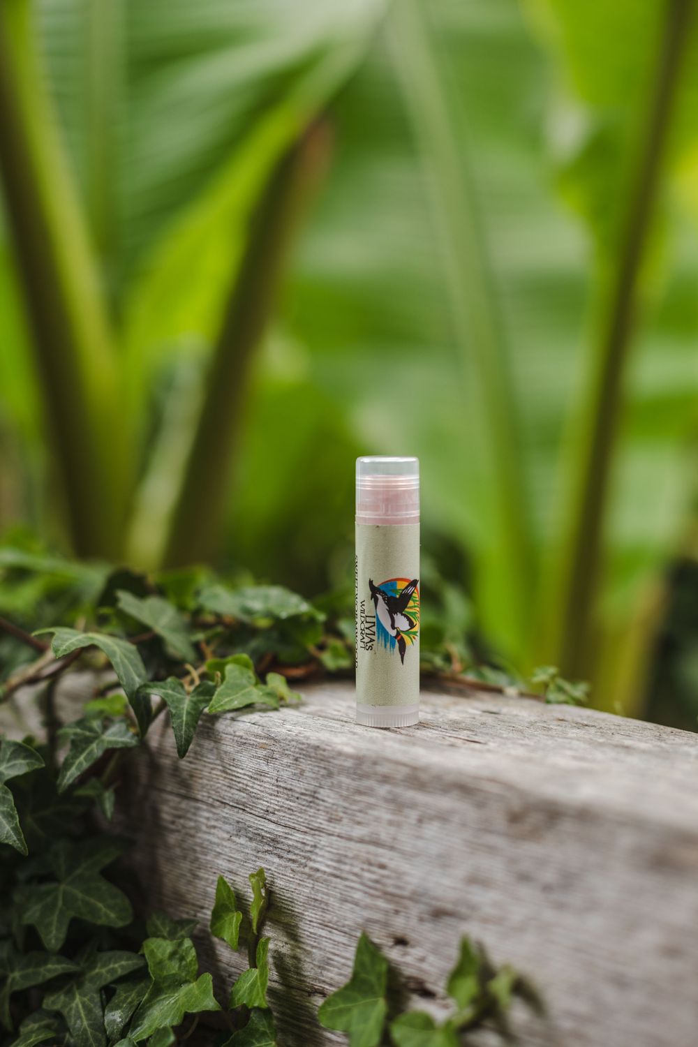 Sweet Wormwood Lip Balm for cold sores Sweet Wormwood Lip Balm for cold sores