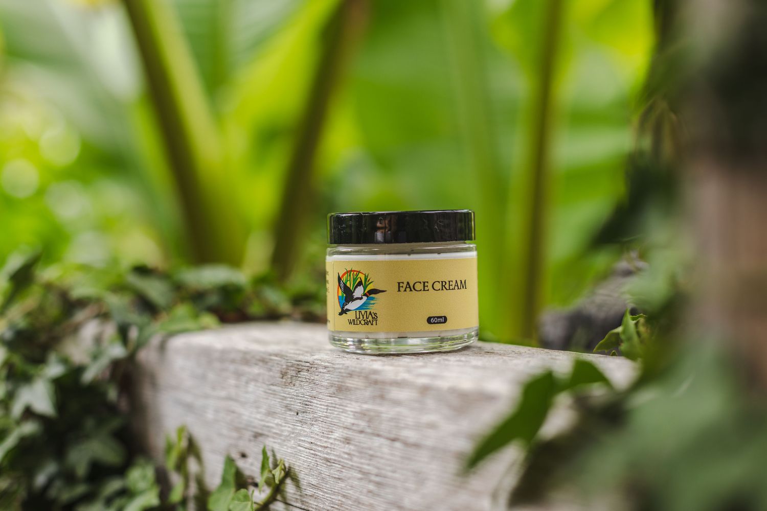 Face Cream