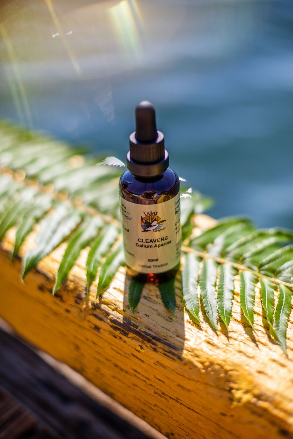 Herbal Tinctures 50ML- Organically grown or wildcrafted - limited supply