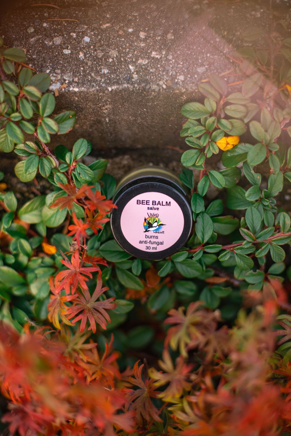 Bee Balm Salve