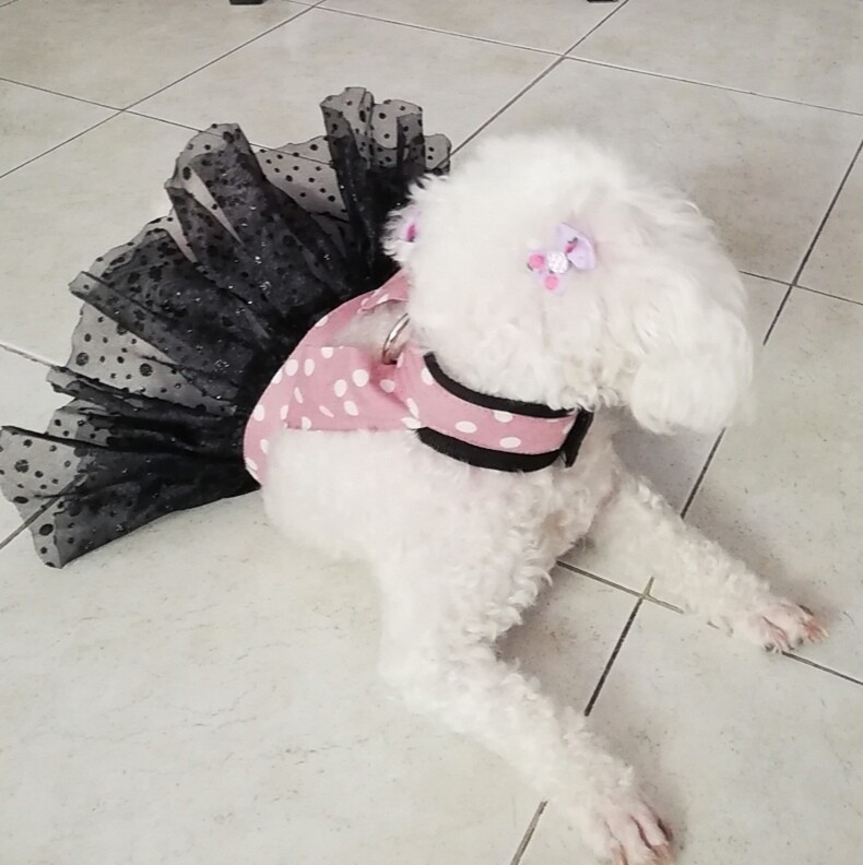 Vestido para mascota