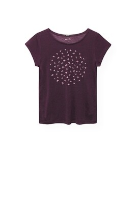 Z23 Paala breeze dark grape