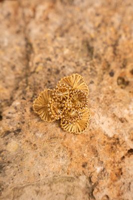 LOTT BROCHE FLOWER L GOLD