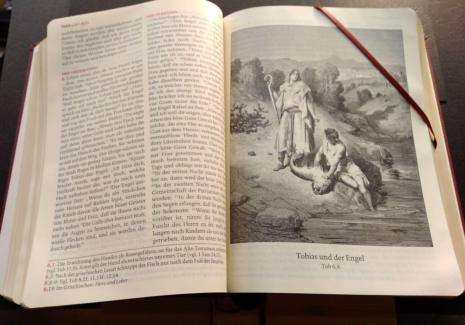 "Die Heilige Schrift" [Übersetzung von 1936 AT // 1946 NT]
