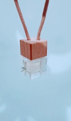 Car Air Freshener Sauvage