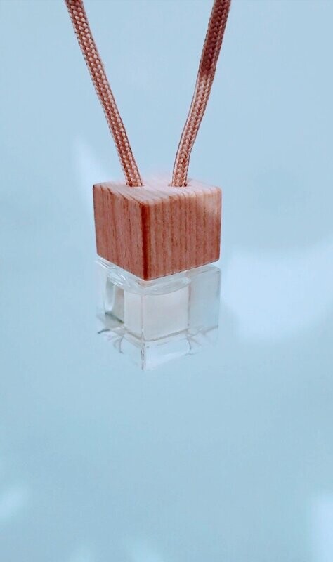 Air Freshener Chanel