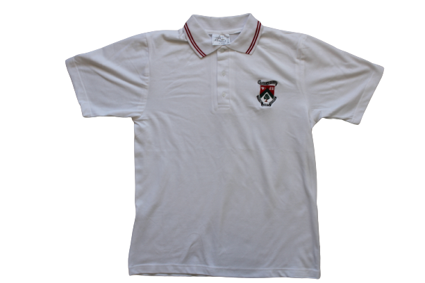 Greenside High Golfer
