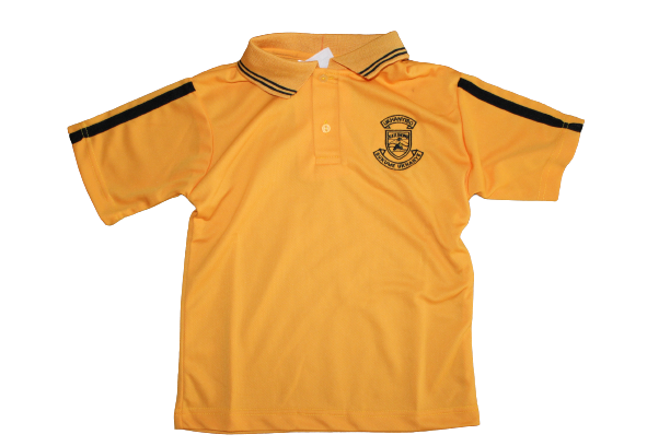 Katlehong PS Golfer