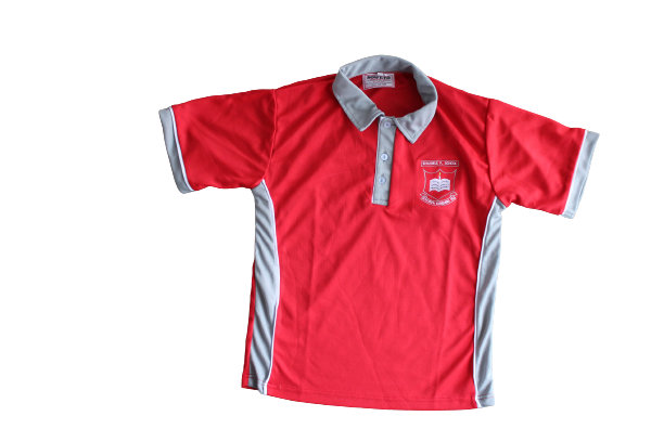 Kwanele PS Golfer