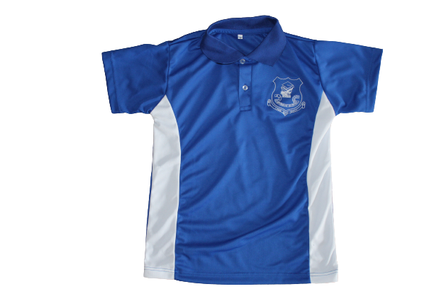 Comprehensive Secondary Golfer