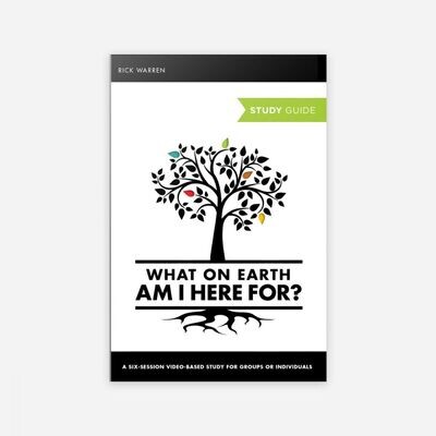 Small Group Study Guides