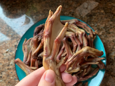 Raw Dehydrated Duck Feet