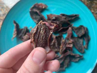 Raw Dehydrated Turkey Gizzard Treats