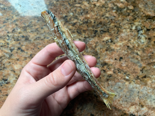 Raw Dehydrated Smelt Treats