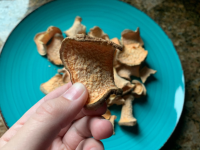 Dehydrated Sweet Potato Treats