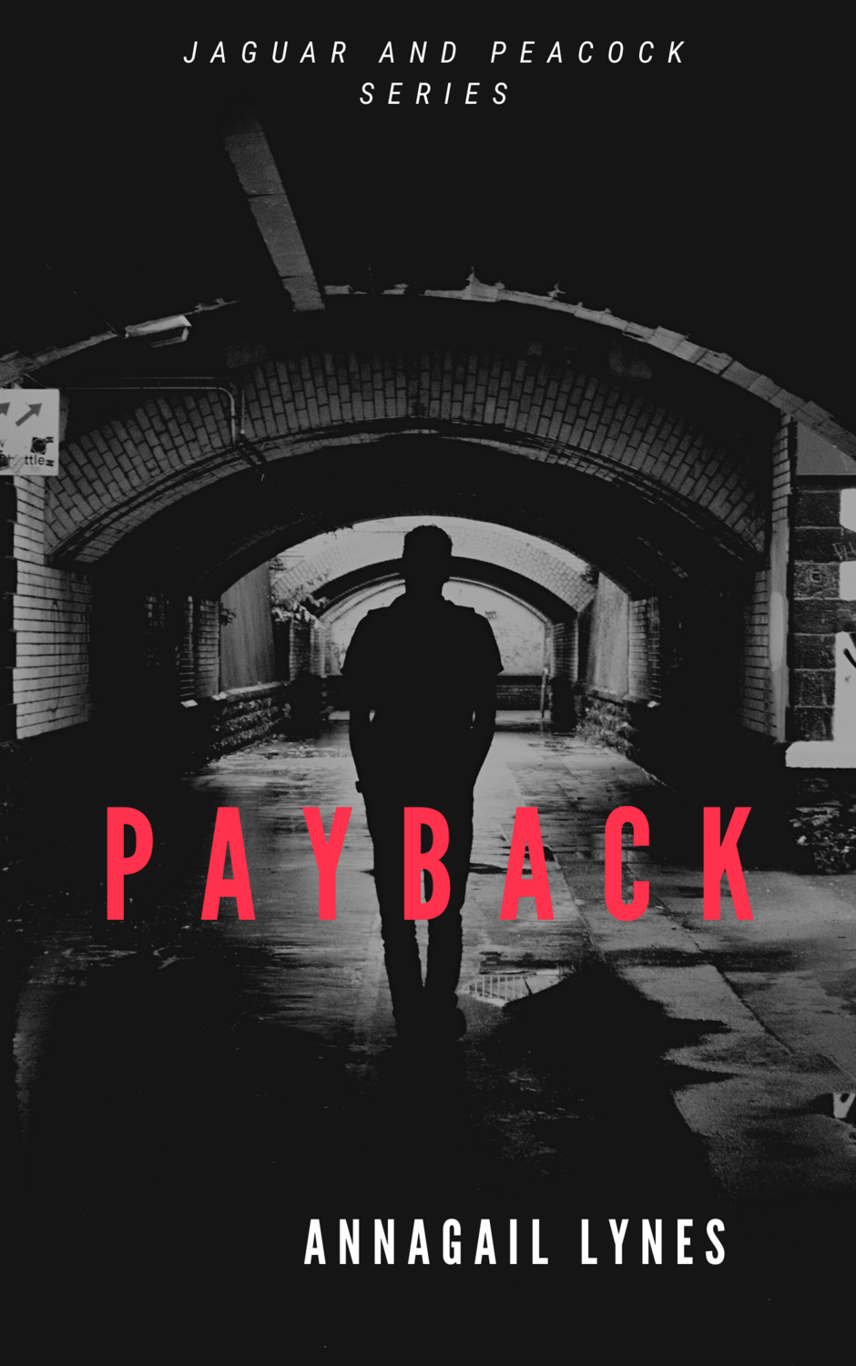 Payback E-Novel (Novel 8 In The Jaguar & Peacock Series)