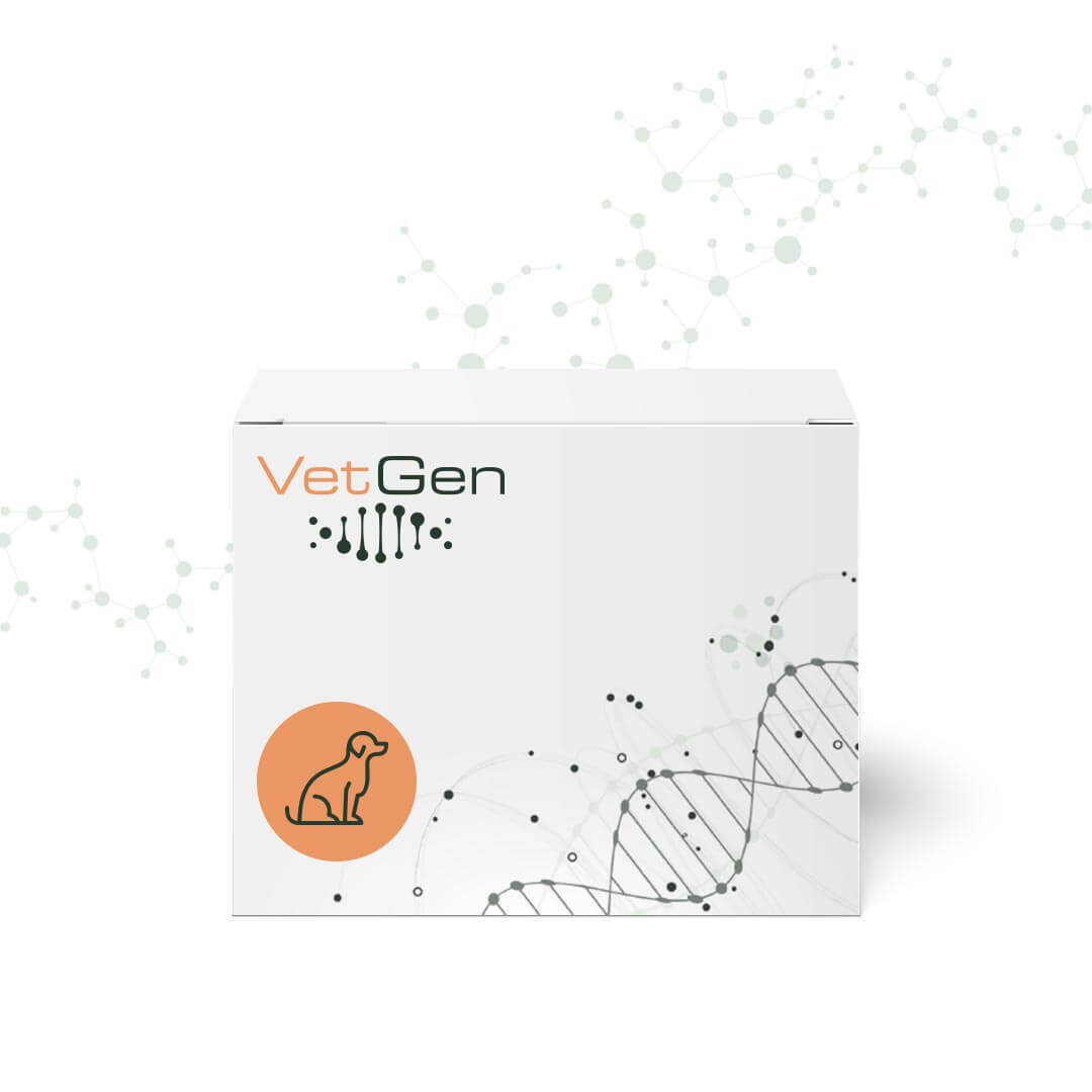 vetgen dna testing