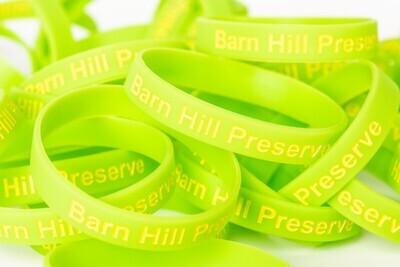 Barn Hill Bracelet