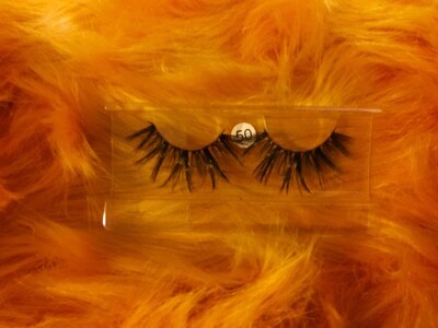 Tatylash #50