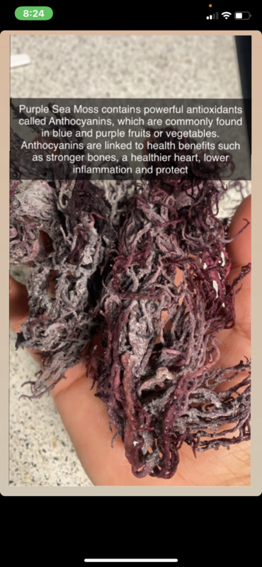 16oz Purple Seamoss Gel