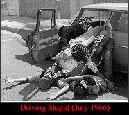 "Driving Stupid"