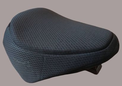 Breezy Ryder for 2023 Softail ST