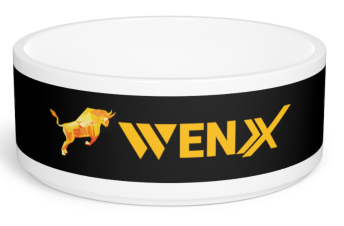 WenX Pet Bowl