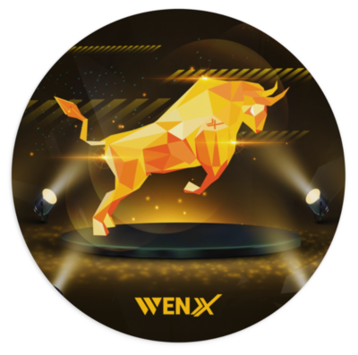 WenX Mouse Pad