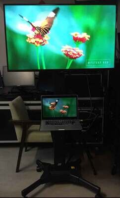 2522933994 store