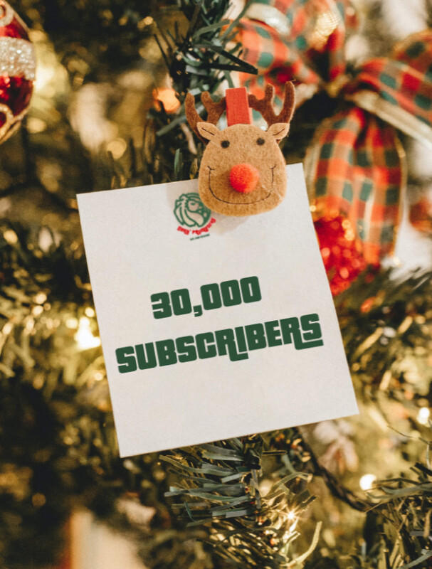 30,000 SUBSCRIBERS