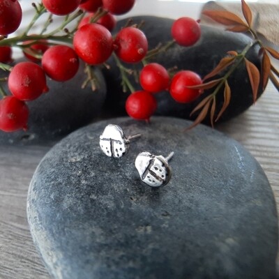 Silver Ladybug Stud Earrings