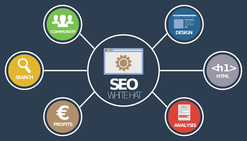 SEO starting from