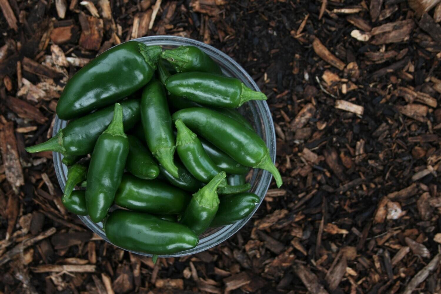 Jalapeno White Balsamic