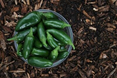 Jalapeno White Balsamic