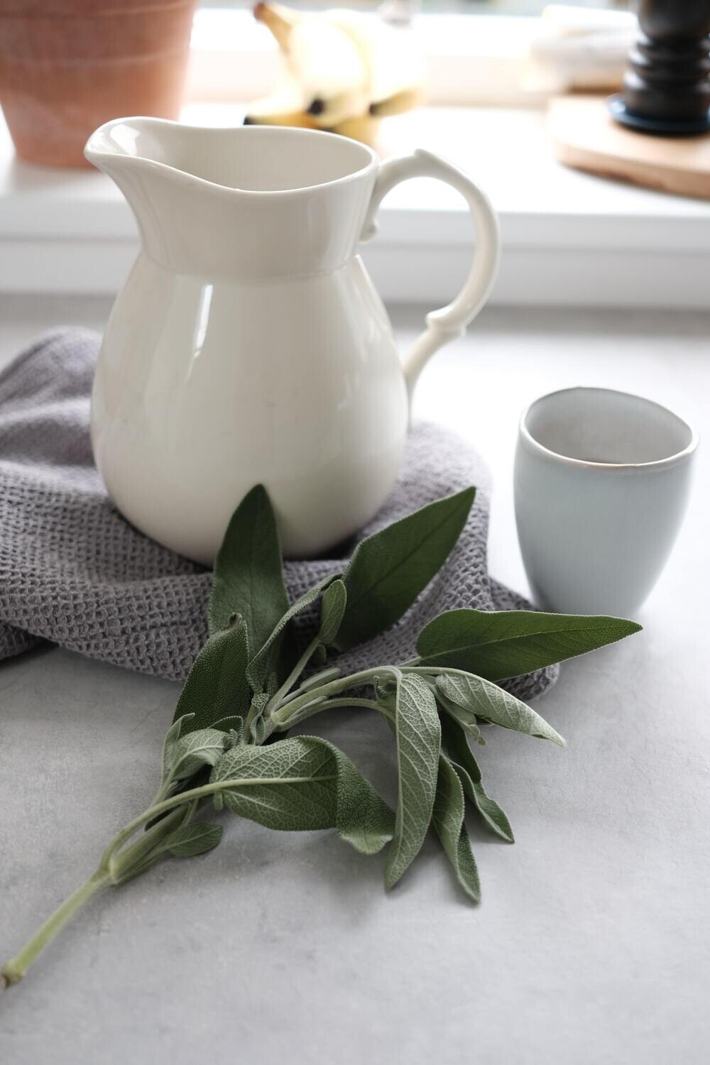 Sage &amp; Onion EVOO