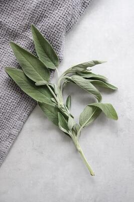 Sage Dark Balsamic