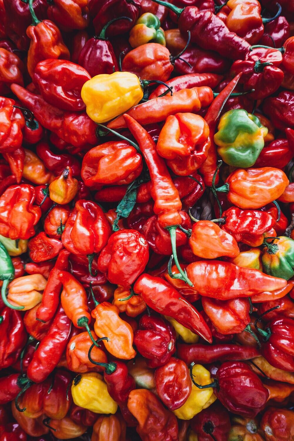 Serrano Chile Honey Vinegar