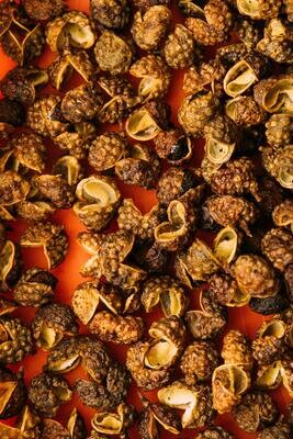 Sichuan Peppercorns 1oz