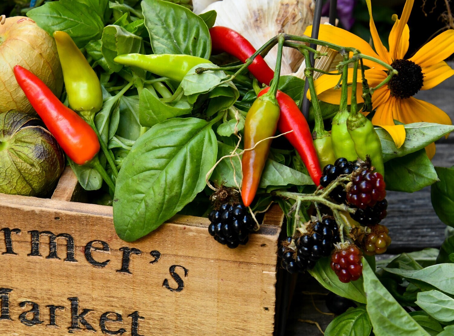 Blackberry Roasted Pepper Vinegar
