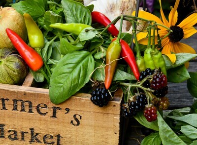 Blackberry Roasted Pepper Vinegar