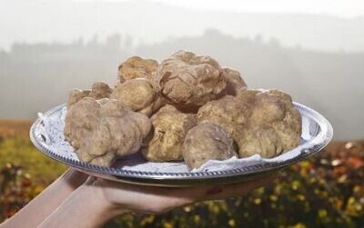 White Truffle EVOO
