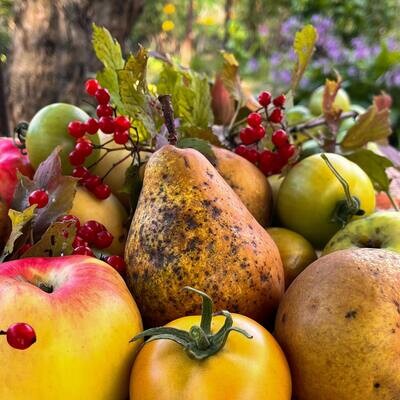 Cranberry Pear White Balsamic